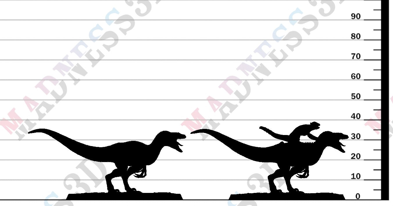 Velociraptor - Cry