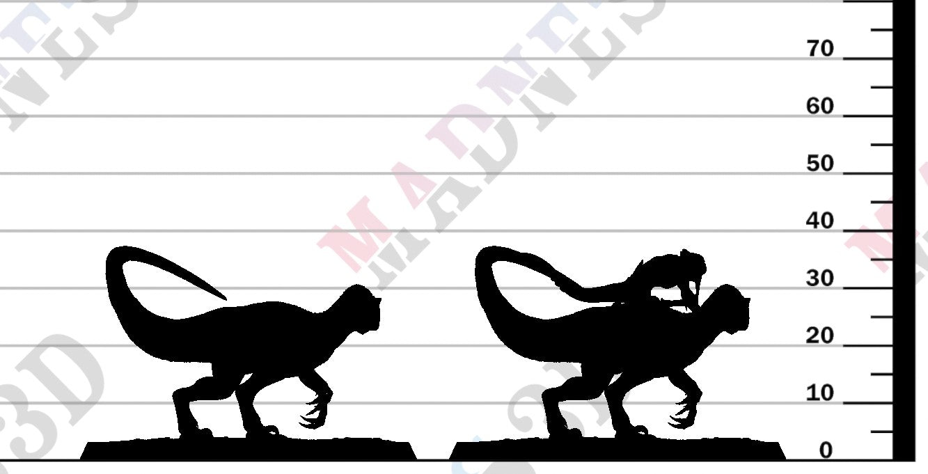 Velociraptor - Look