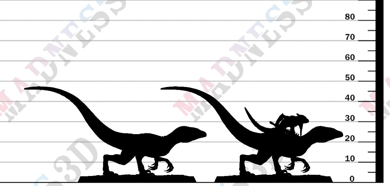 Velociraptor - Walk