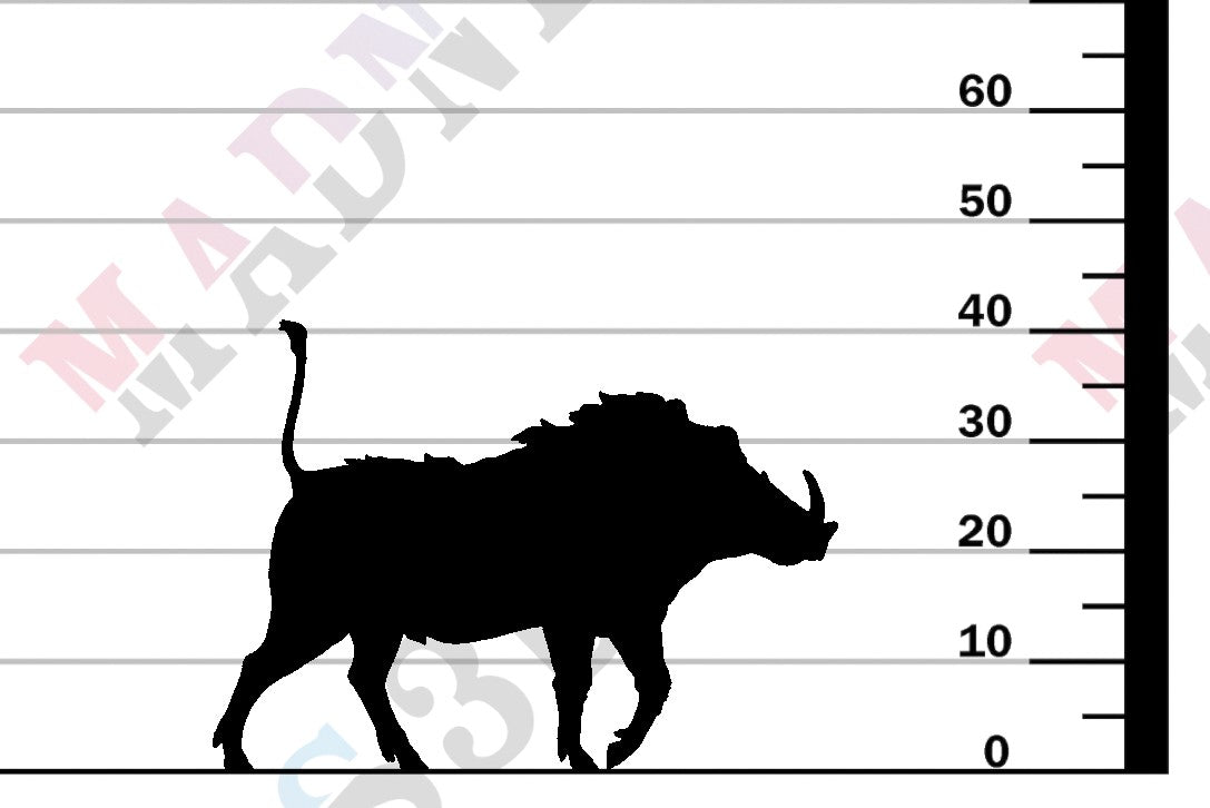 Warthog