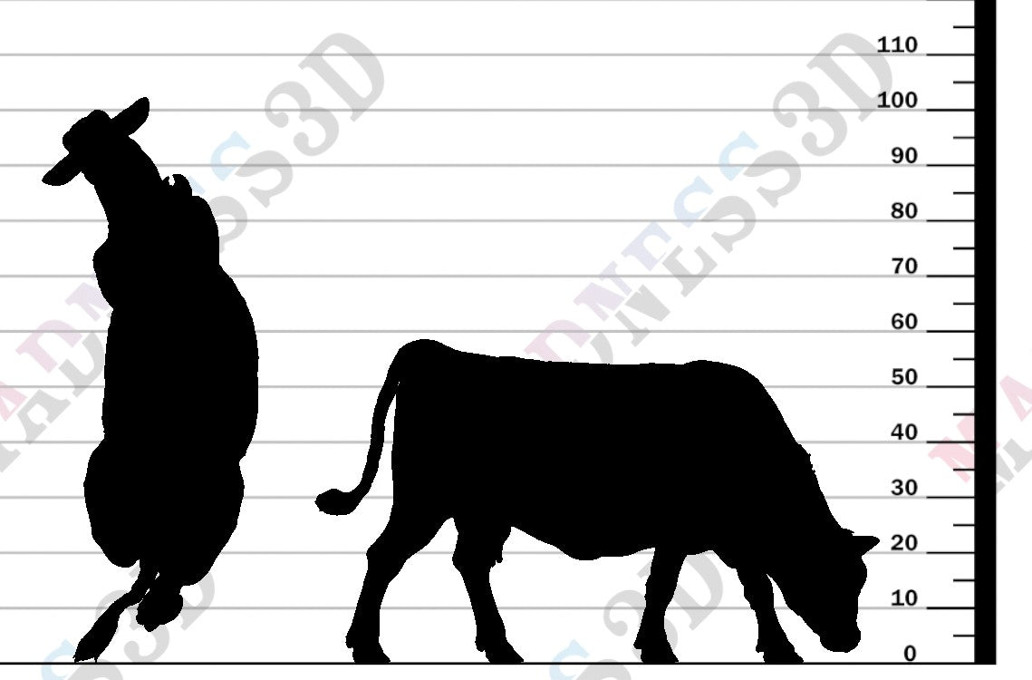 Red Devon Cow
