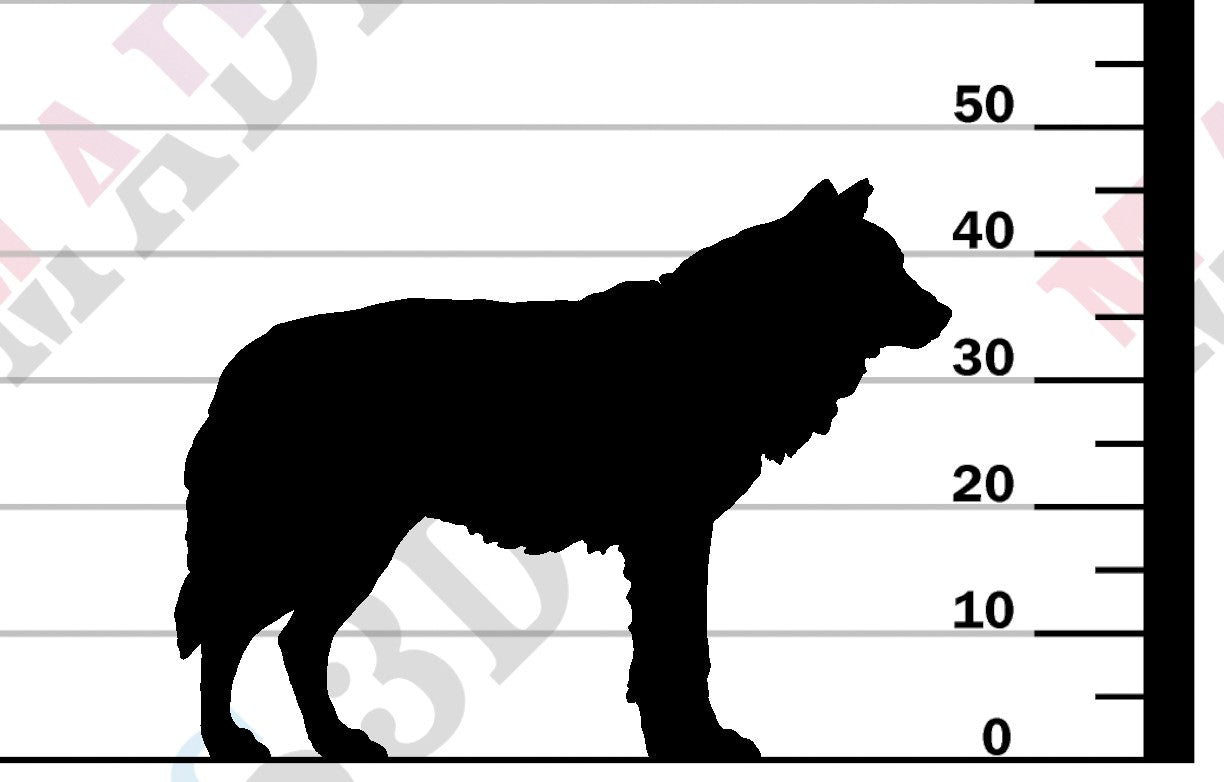 Grey Wolf - 1-24