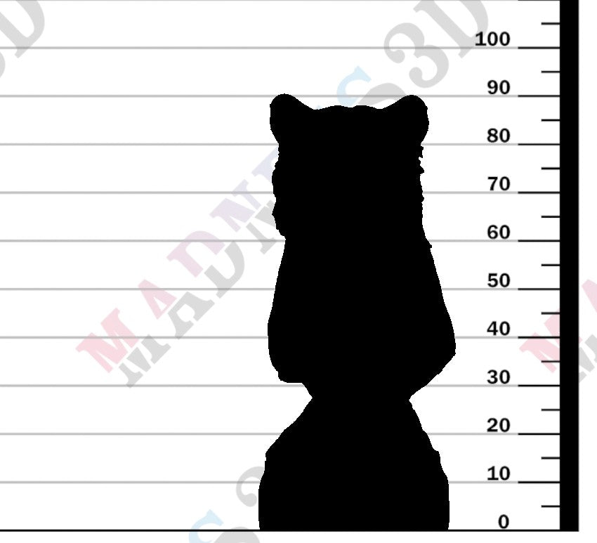 Amur Leopard - Bust