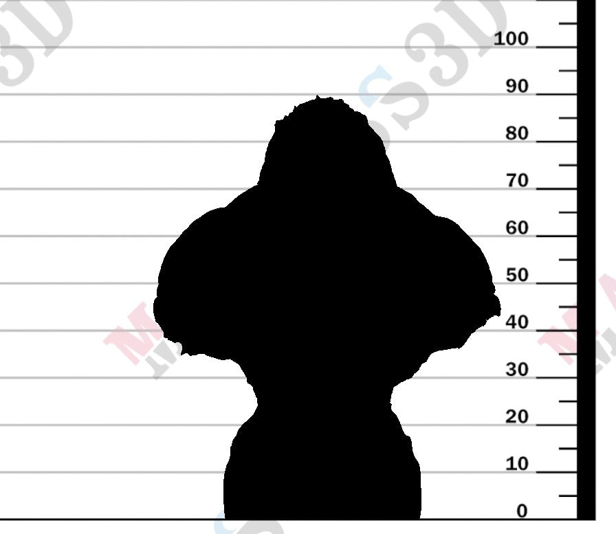 Grauers Gorilla Aggressive - Bust