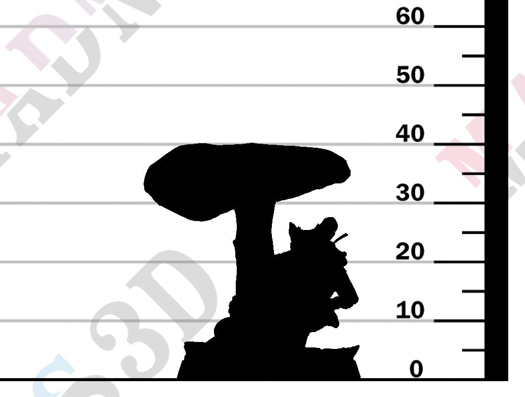 Mouse - Mushroom Hide A