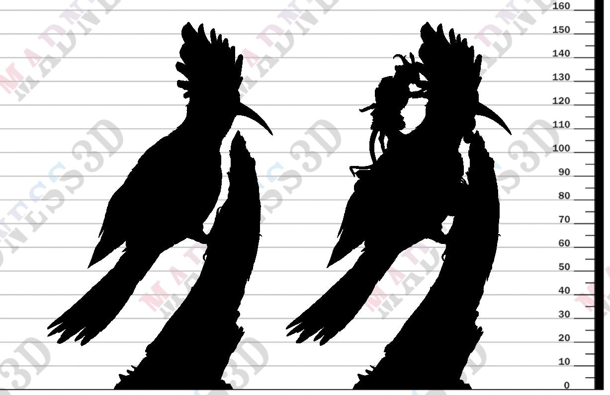 Hoopoe - Spy