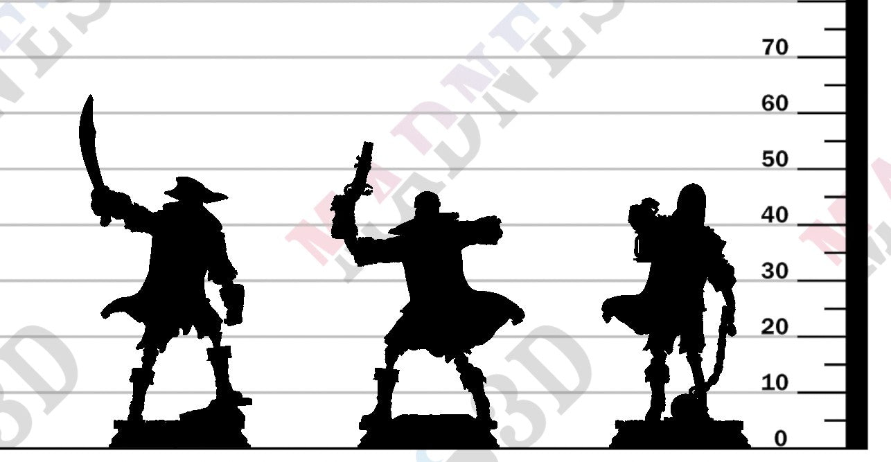 Undying Scallywags