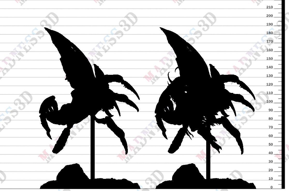 Scarab Host Fly - Jump