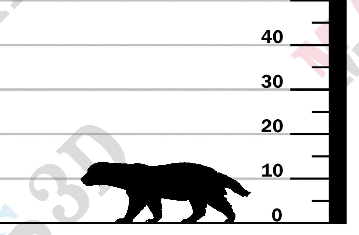 Honey Badger 1-24