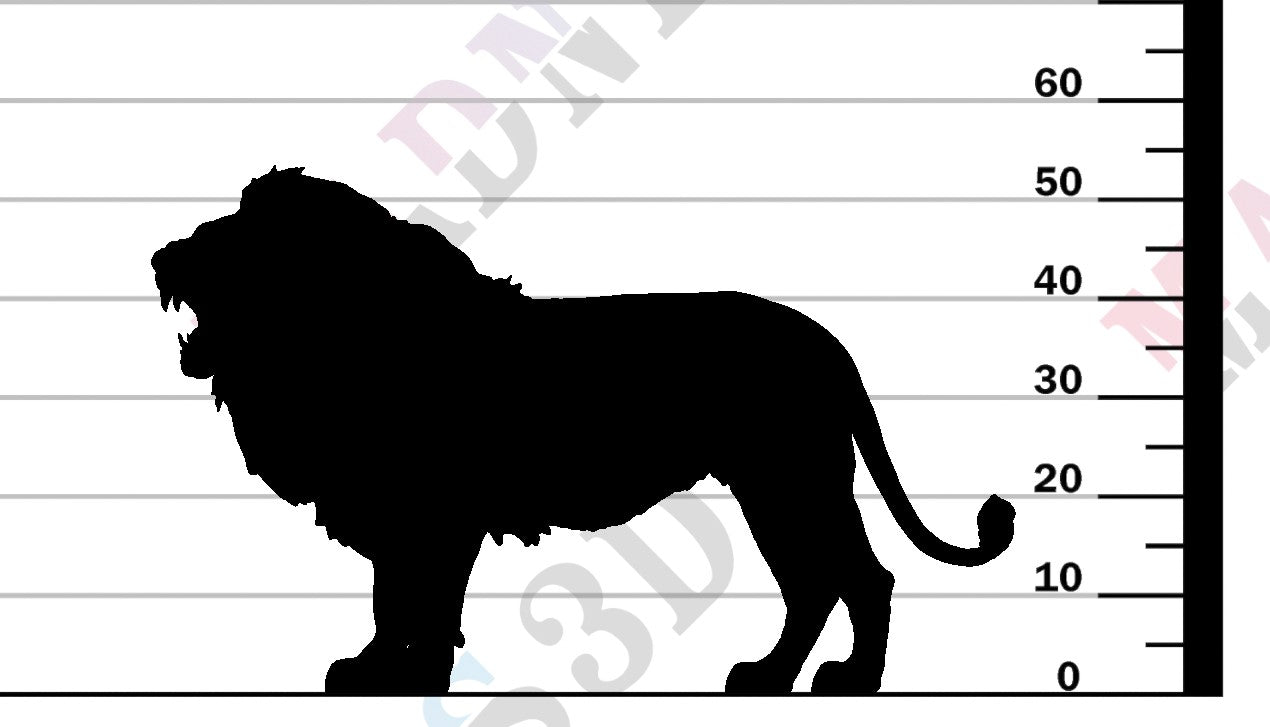 Lion Roar 1-24