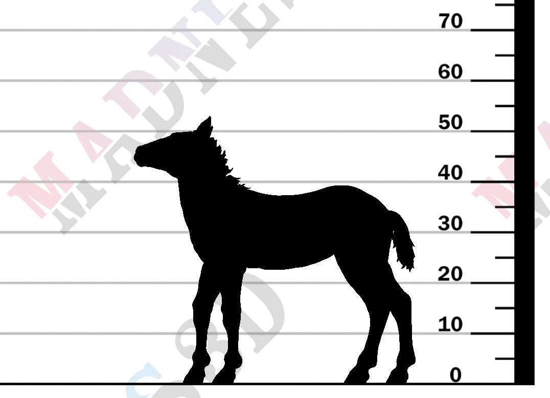 Mustang Calf 1-24