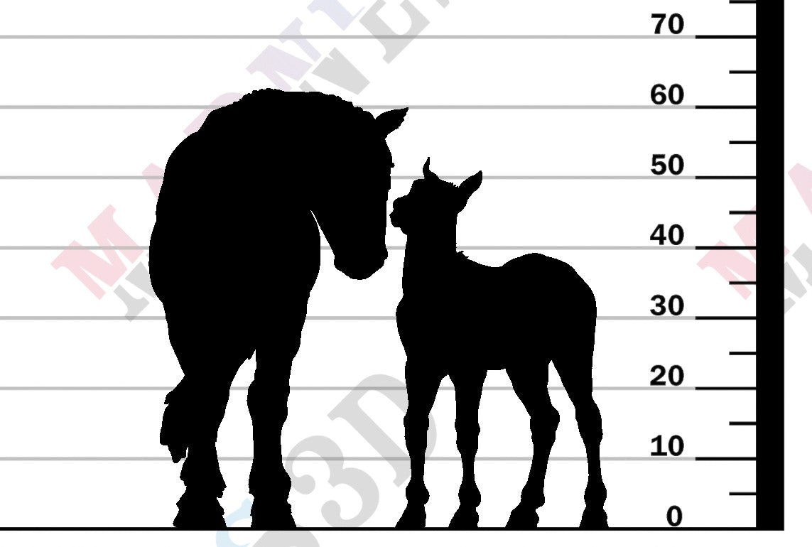 Mustang Female and Calf 1-24