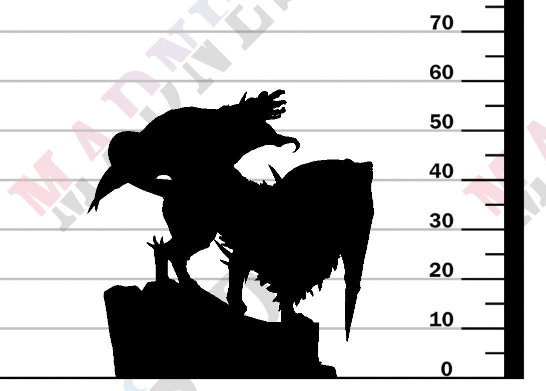 Manticore