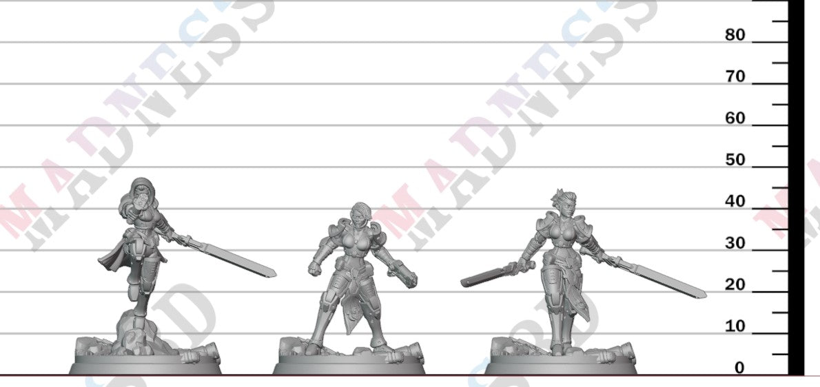 Legion - ERZA Knights
