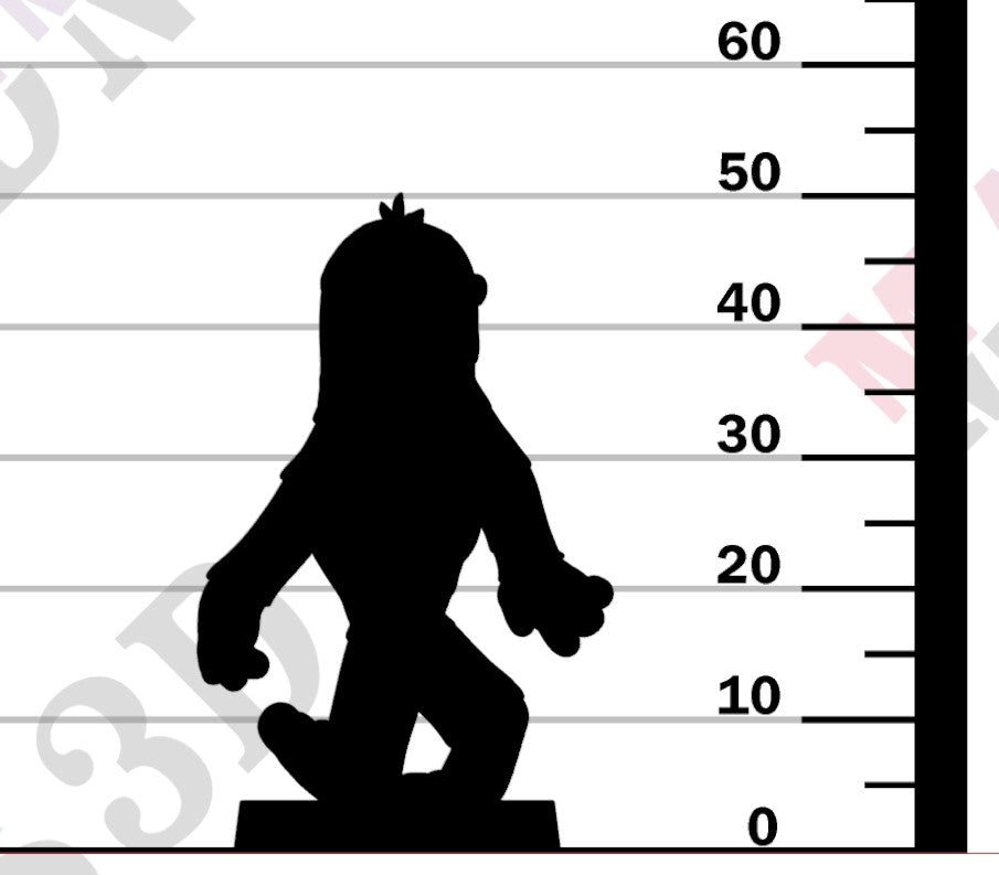 Sasquatch