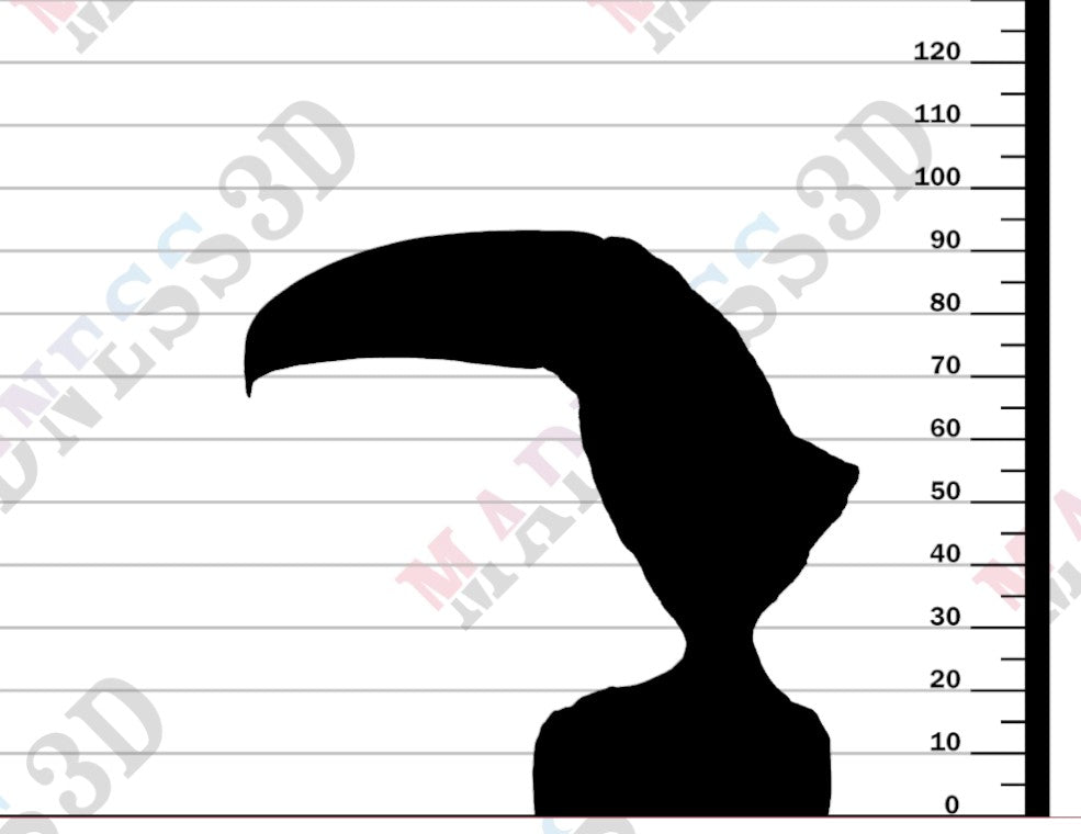 Toco Toucan Bust 1-3