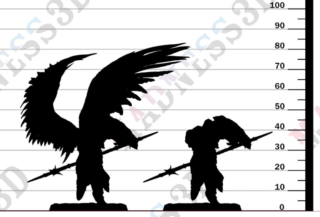 Ascended Legion - Charge