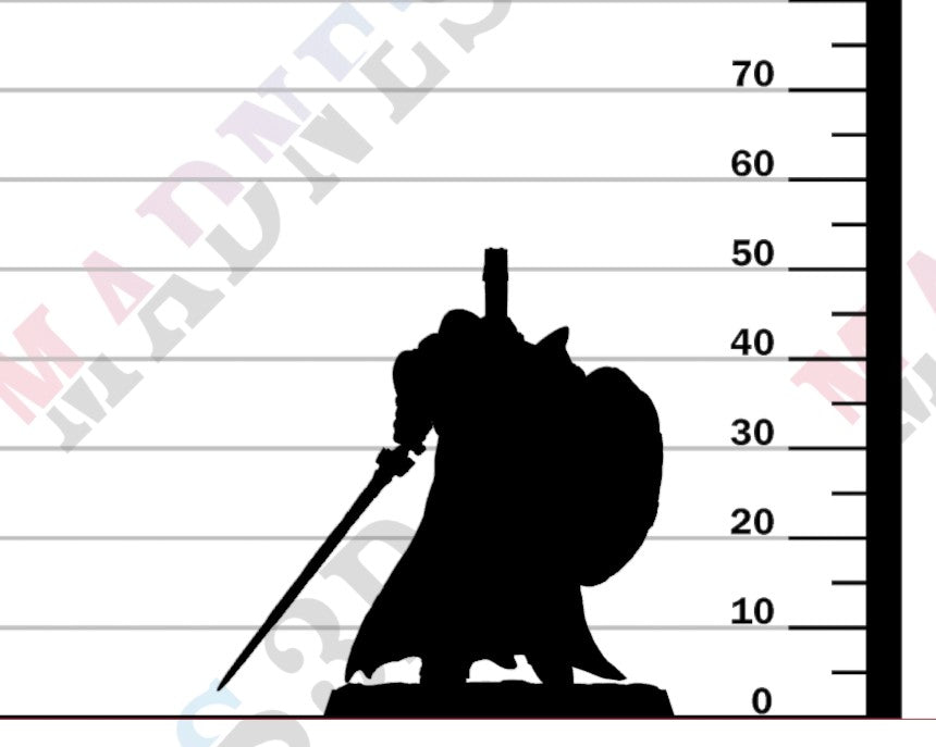 The Radiant Legion - Shield Walk