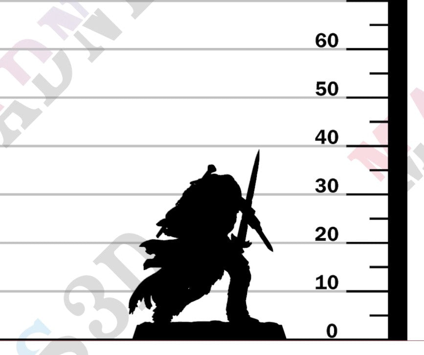 Silent Sentinel - Dual Sword Guard