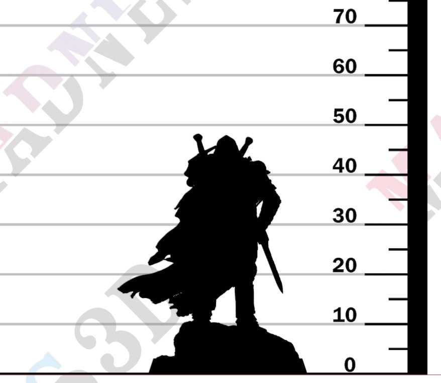 Silent Sentinel - Sword Stance