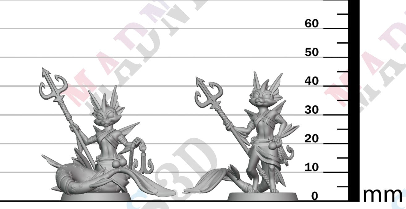 MerCat Fighter: Type 2