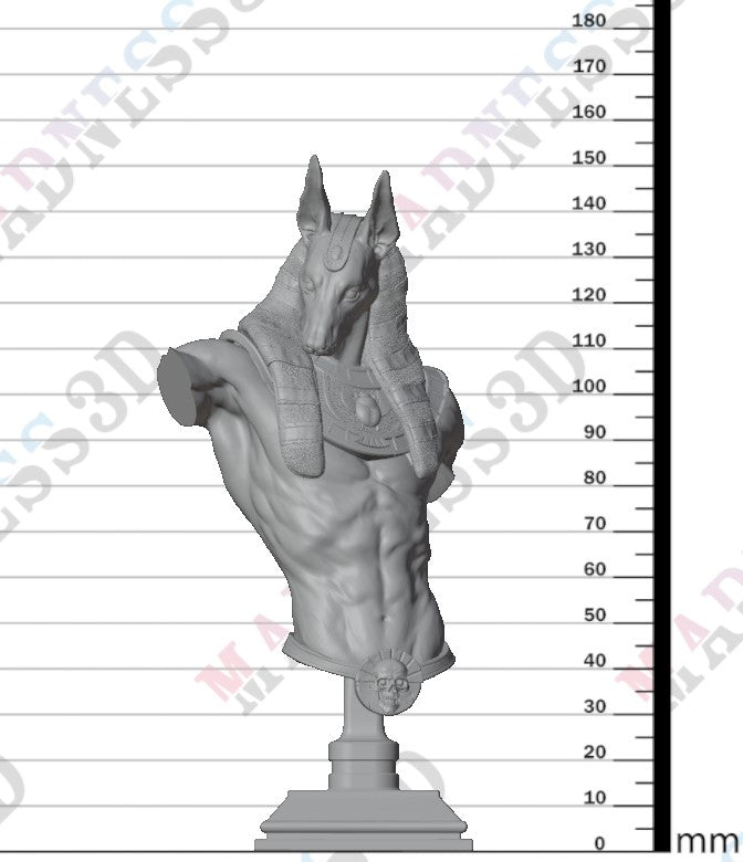 Anhotek - Jackal of the Black Gate - Bust