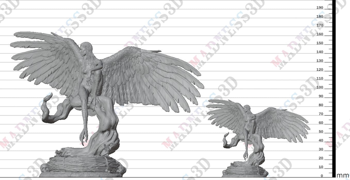 Harpy