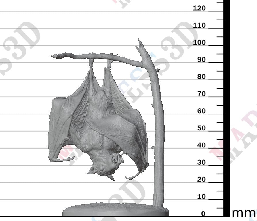 Hammer-headed Bat 1:4