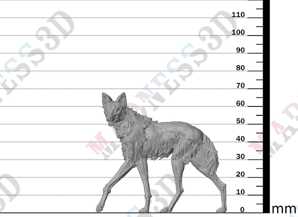 Maned Wolf 1:16