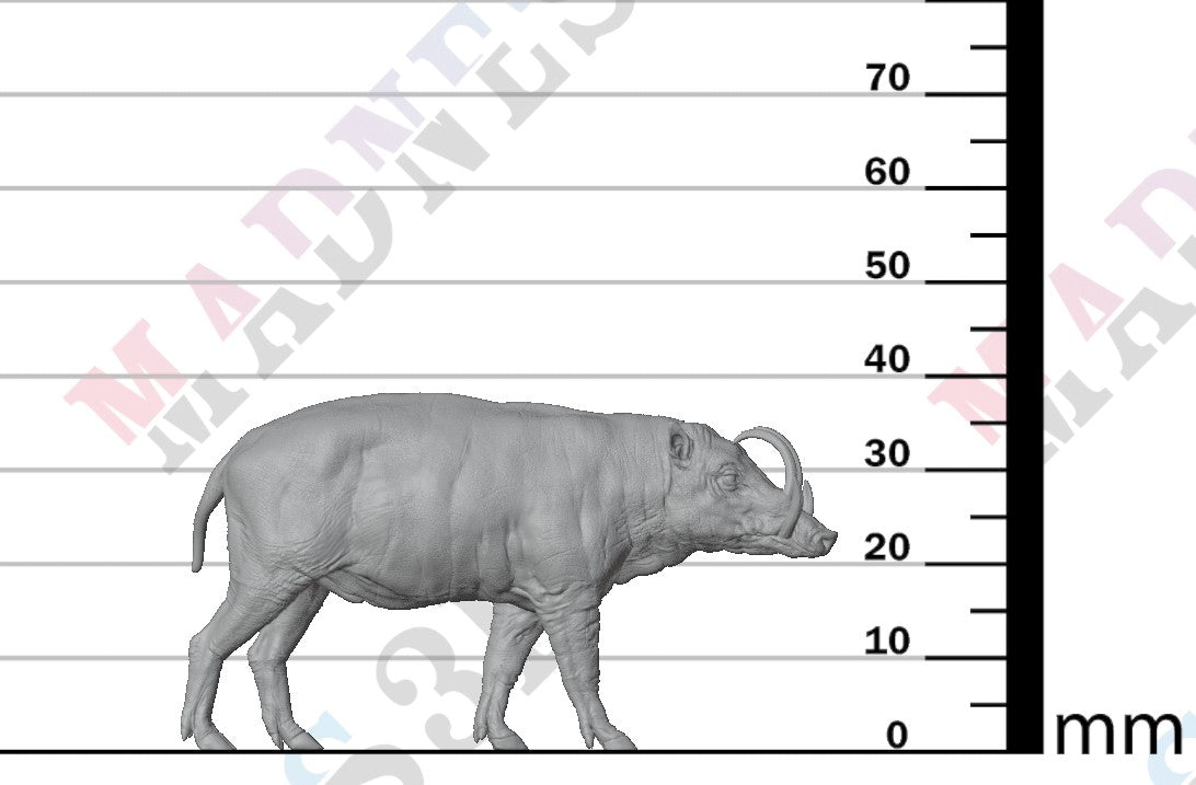 North Sulawesi Barbirusa Boar 1:16
