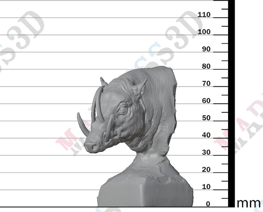 North Sulawesi Barbirusa Boar 1:6 - Bust