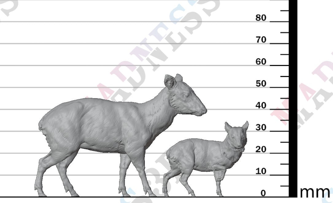 Pudu Doe and Fawn 1:8