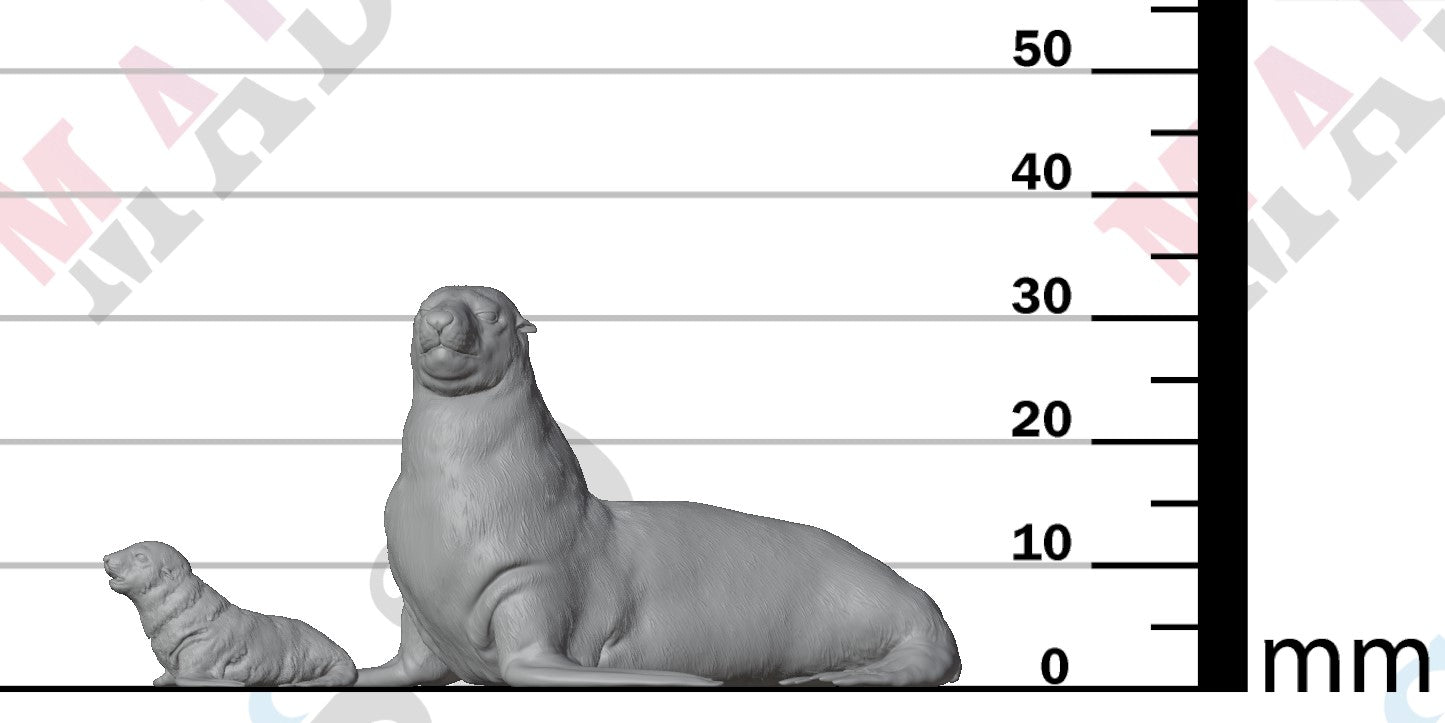 Cape Fur Seal Female and Pup 1:24