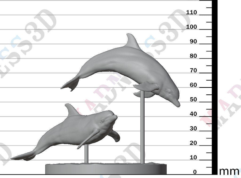 Common Bottlenose Dolphins 1:48