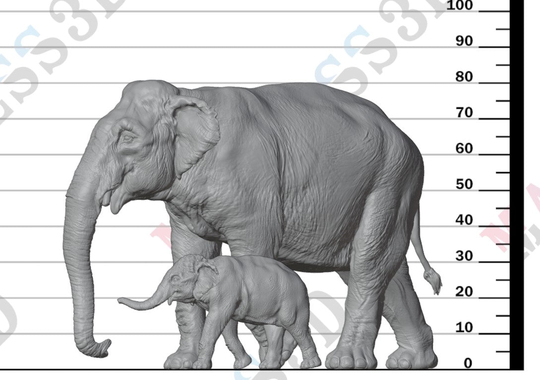 Indian Elephant Cow and Calf 1:32
