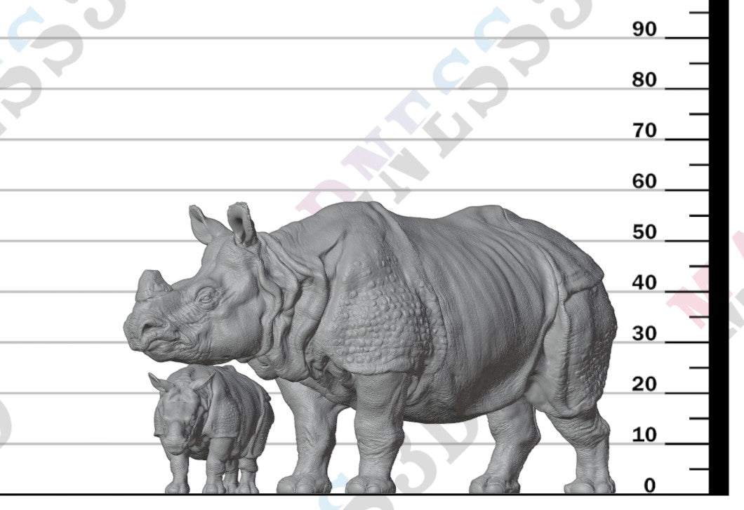 Indian Rhino Cow and Calf 1:32