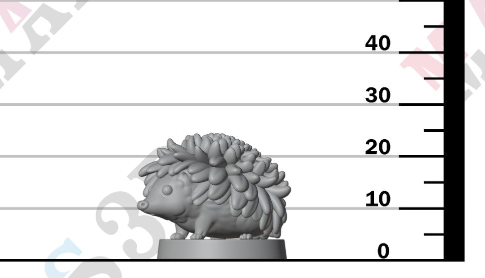 Chrysanthemum Tea Blossom Hedgehog