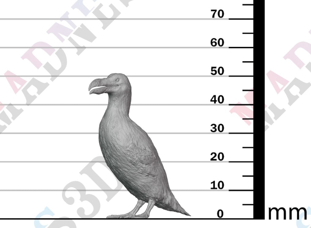 Great Auk - Stand 1:16