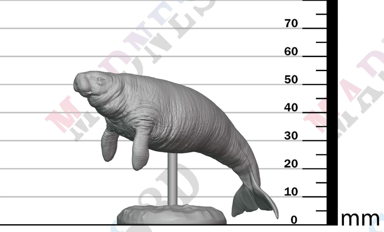 Stellar Sea Cow 1:100