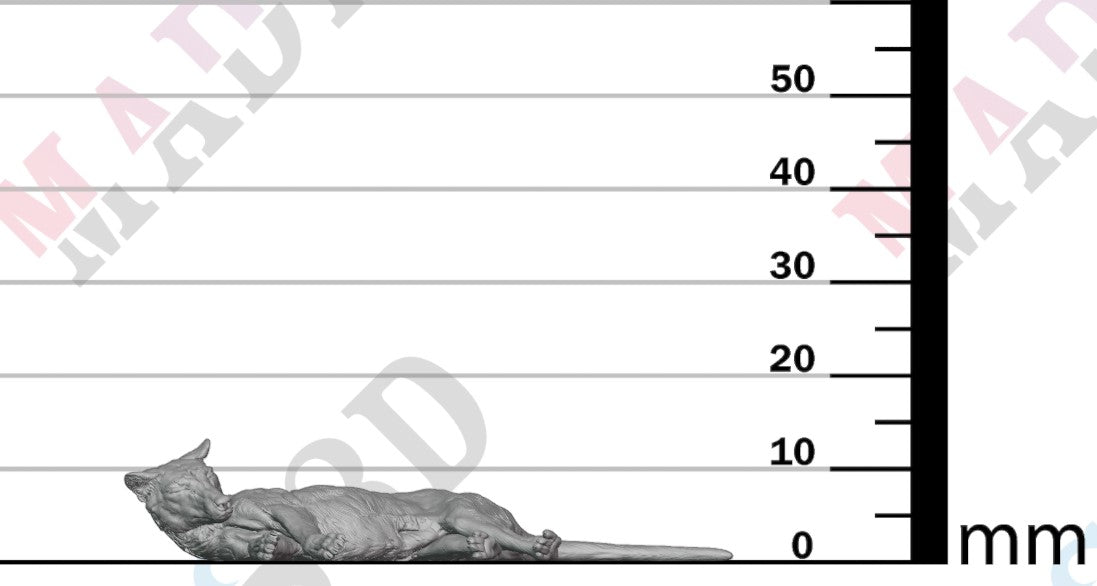 Thylacine - Lying 1:24