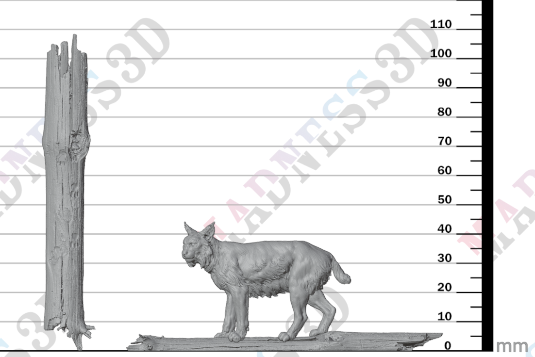 Eurasian Lynx - Tree