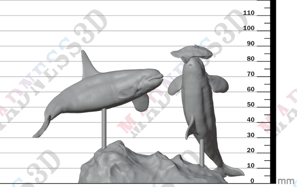 Ocean Sunfish and Orcas 1:76