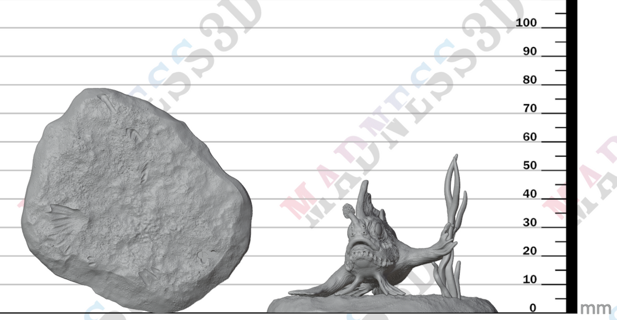Red Handfish 1:1