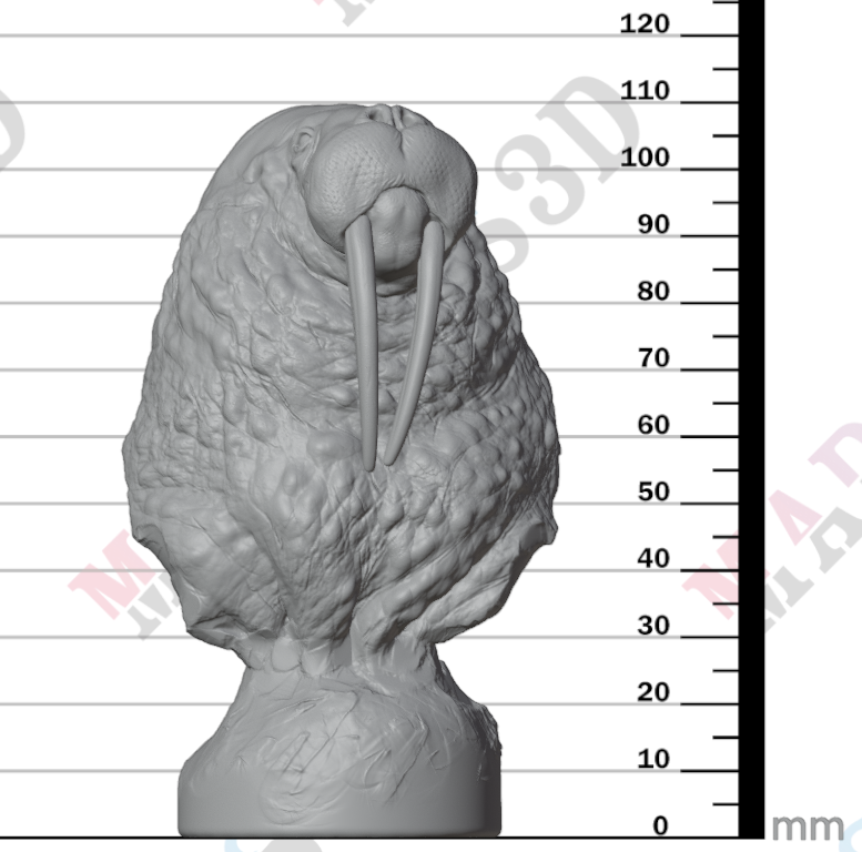 Walrus Bust 1:18