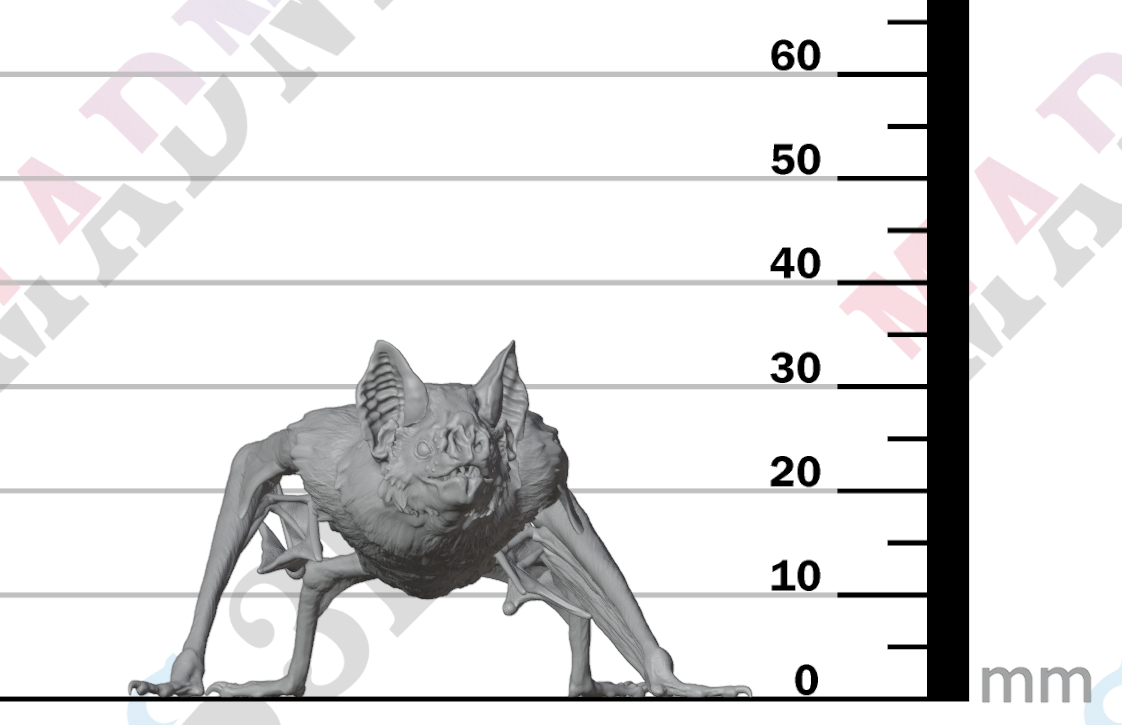 Common Vampire Bat 1:2