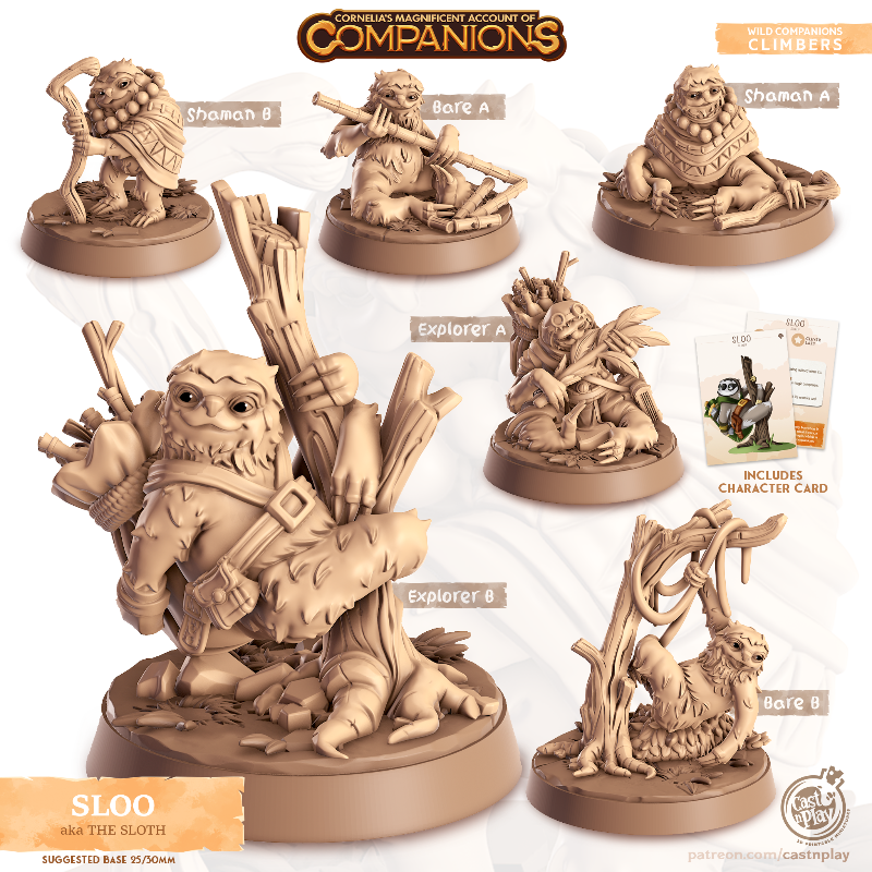 Sloo Companion