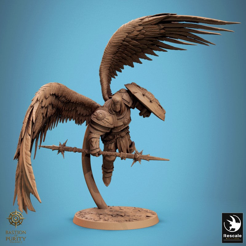 Ascended Legion - Fly Look