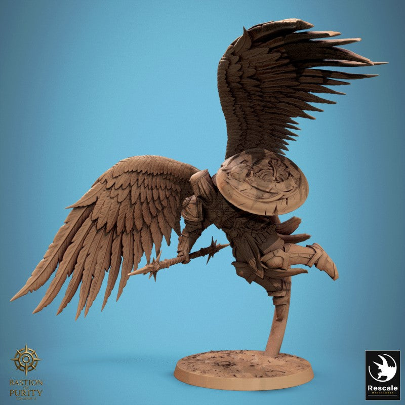 Ascended Legion - Fly Look