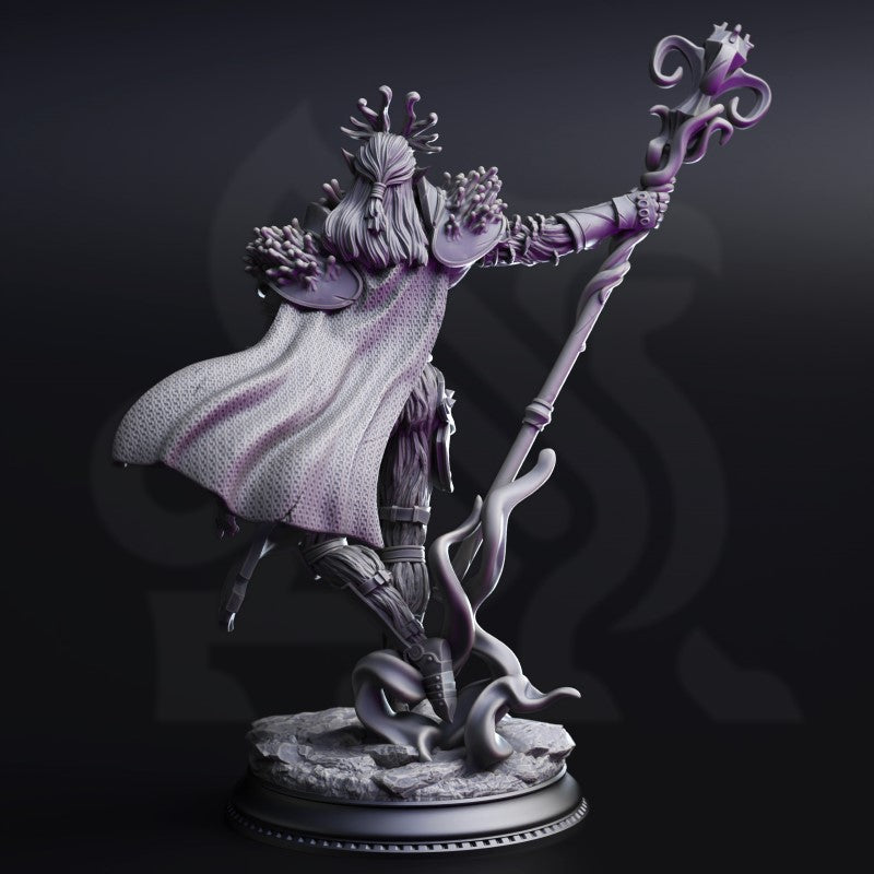 Servants of Vaezirak