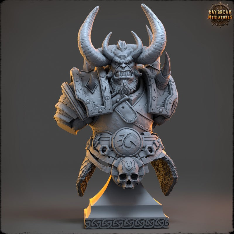 Torgash Nihi - Bust